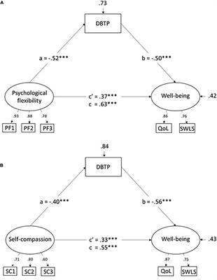 Psychological Flexibility and Self-Compassion as Predictors of Well-Being: Mediating Role of a Balanced Time Perspective